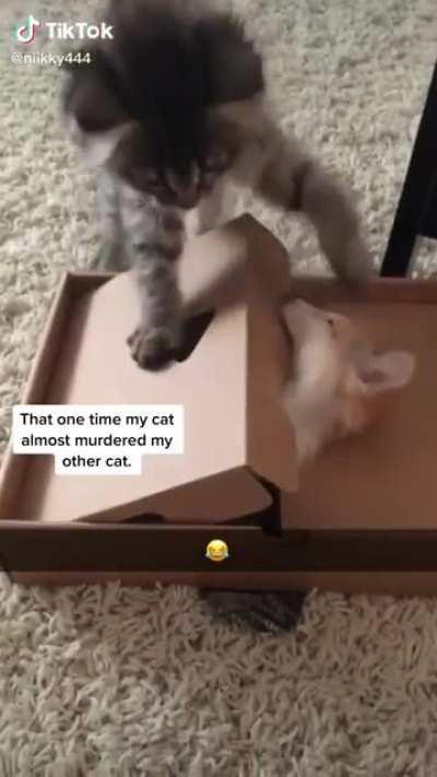 A new tipe of guillotine?