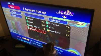 When you’re grinding for materials and the cat thinks you have a laser pointer...