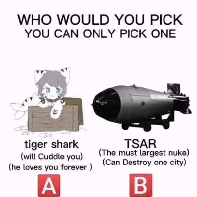 You can Only Choose one