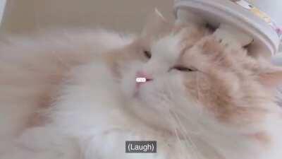 DunDun not only likes bread, but he also likes massage