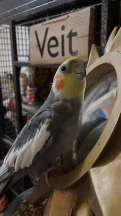 Living the best life!