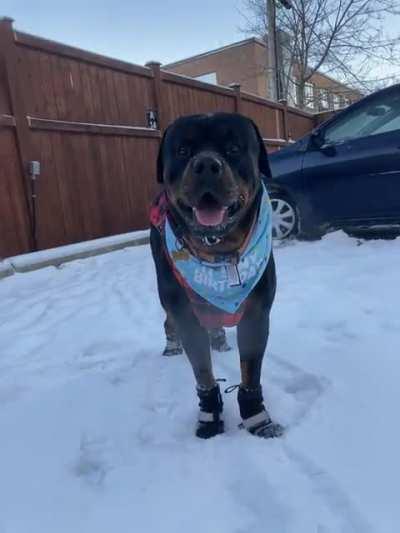 Cooper’s 2nd birthday