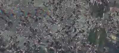 cursed_wavypeople{.-. --- - .---- ...--}