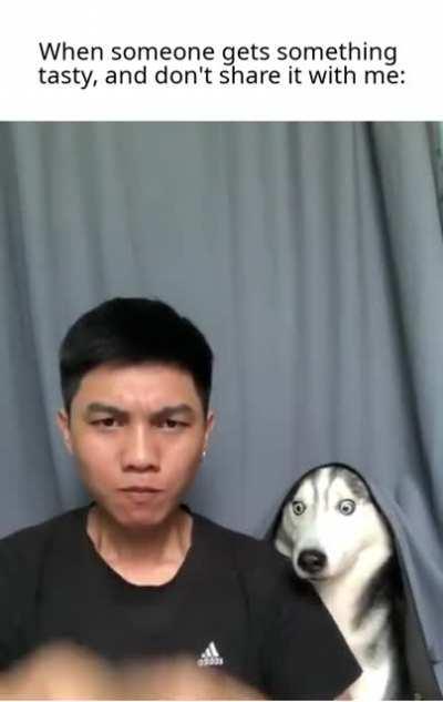 Why did you not feed me?