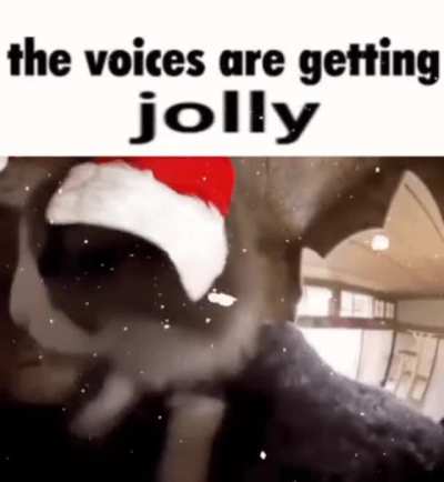 The voices are getting JOLLY