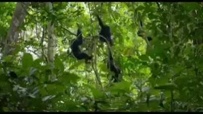 What do you think about?