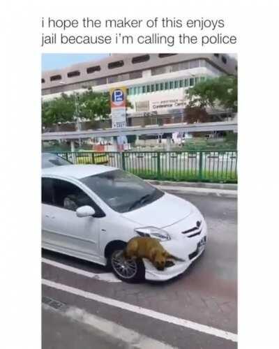 PoOr PuPpEr RuThLeSsLy rUn DoWn oN tHe StReEt