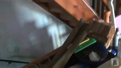 Lebt in der blauen Schüssel etwa ein Hamster?! Von der Roomtour 2020(Und wenn ja, sollten wir dann nicht vielleicht den Tierschutzbund einschalten?)