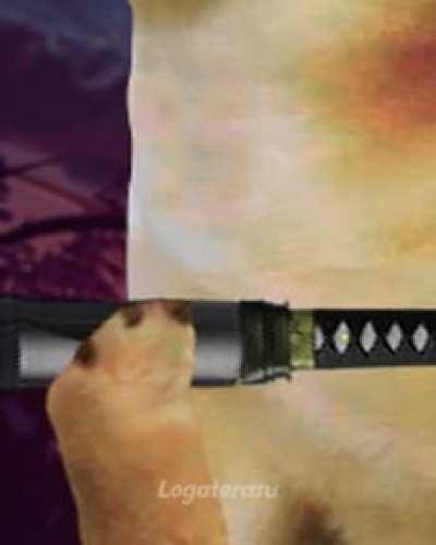 ohhh uu woow oohh woow ʕ ಡ ﹏ ಡ ʔ