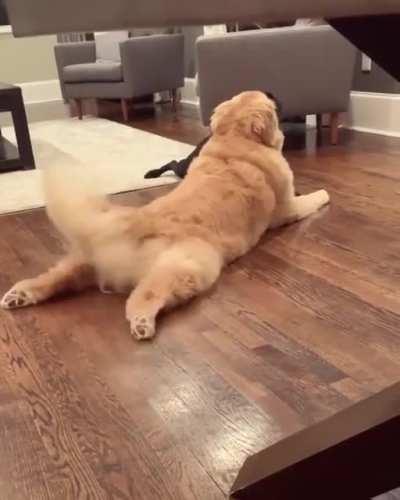 What keeps touching my paws?