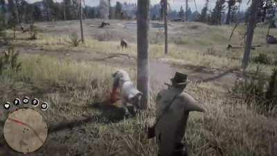 Arthur Morgan 360 noscopes a wolf with his Semi Auto Shotgun