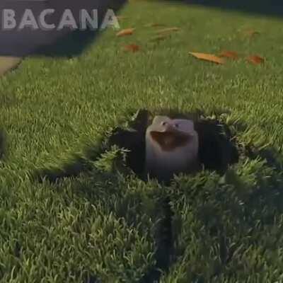 titulo foi pegar o relatório.