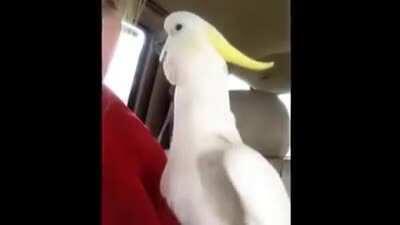 Kafamı çalmışlar