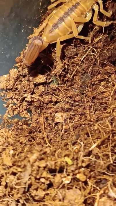 The sisters looking colourful as always