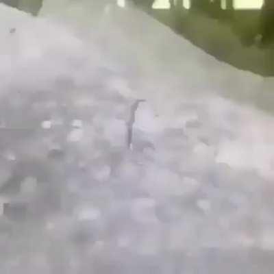 Kid falls off cliff, barely catches self