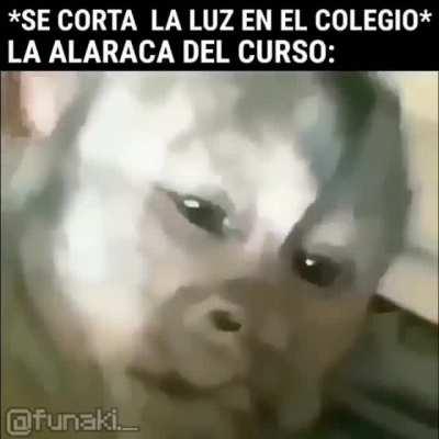 Si pasa