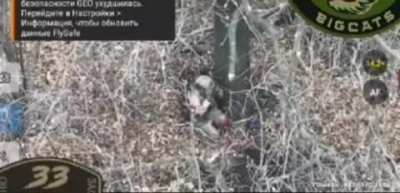 At first it seems like a failed suicide attempt by a russian. But all is well that ends well.