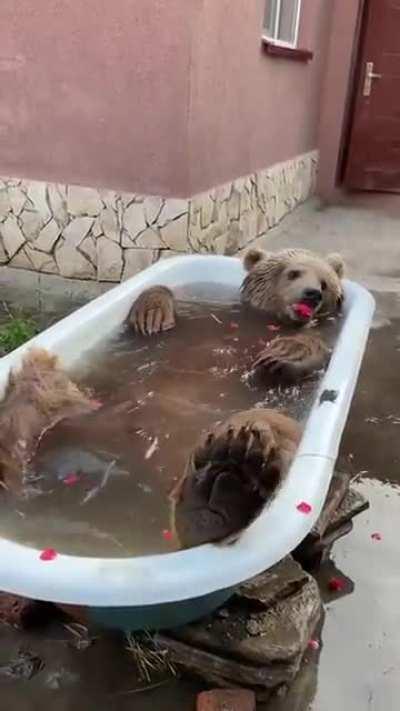 I think they like the bath