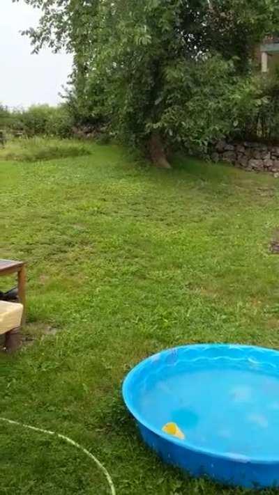 A perfect rainy afternoon to work from home.