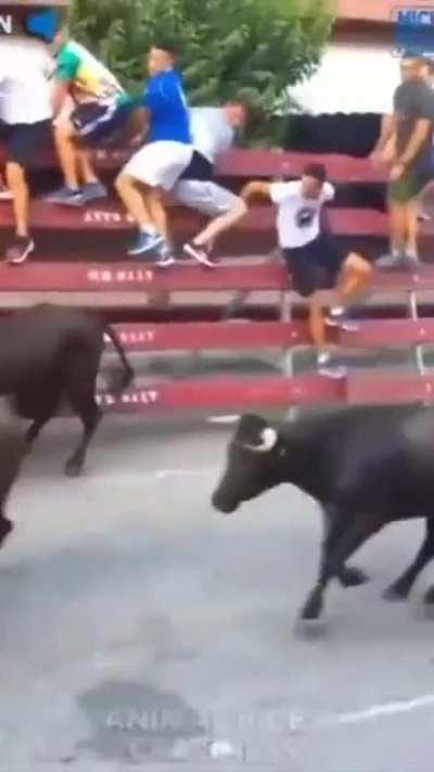 Literally Bull's eye!