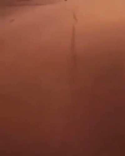 Indomitable Beetle Spirit