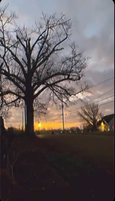 Some footage from my recent walks :)