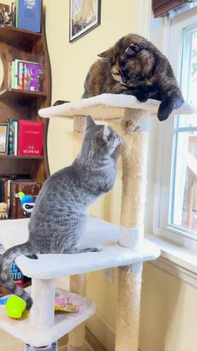 I Have The High Ground!