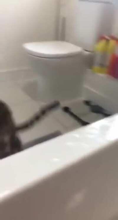 maybe it was hurting his eyes