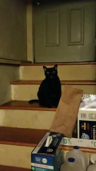 I love our little chats