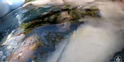 Underwater Double Pussy