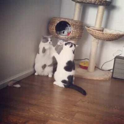 TwO SeasONed HuNTeRS eNGaGE iN a BRUtAL fIGhT tO ThE DeAth