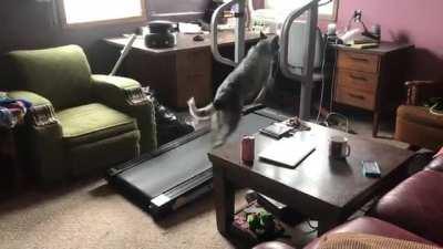 Running indoors because it’s cold outside