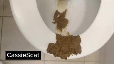 Desperate, MESSY Shit and Stinky Pre-Poop Farts [GIF]