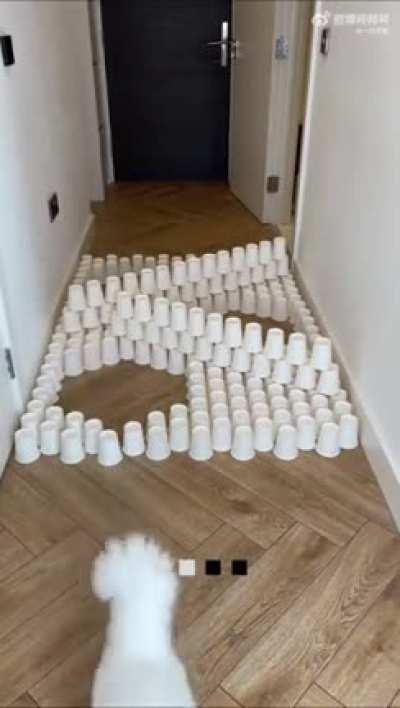 Полоса препятствий