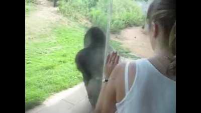 a tablespoon's worth, and nothing more