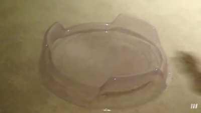 Deleted training scene from metal masters (totally real!)