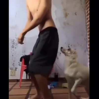 Dog aint chilling with that bullshit