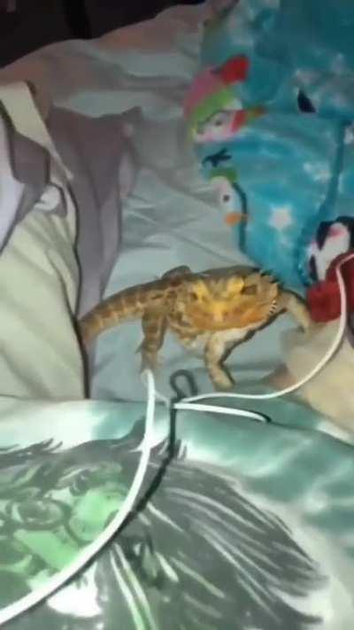 Gurl really f’in me