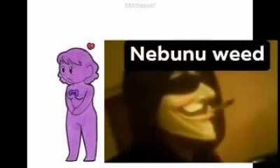 nebunu ui