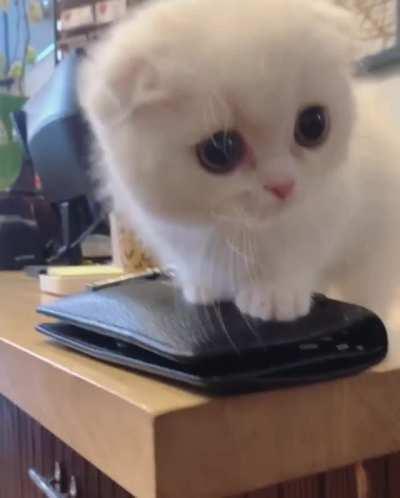 Would you like something?