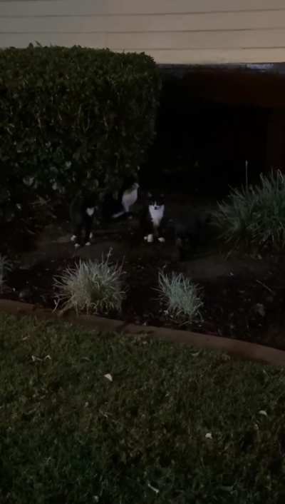 Checking Out The Local Nightlife