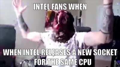 Shintel fans when