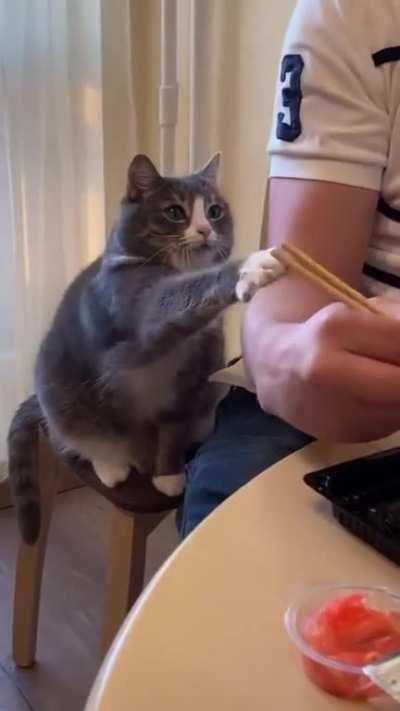 Scoome, Scoome...I like that fishy stuff too you know