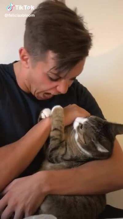 Cat bites person, gets bitten by person, is surprised.