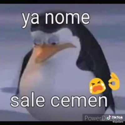 Los pinguinos de magadascar se quedaron sin cum 😭
