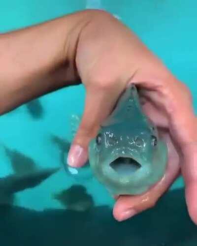 very beautiful. very powerful