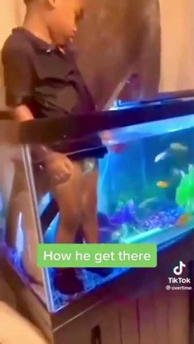 How did it get to this?