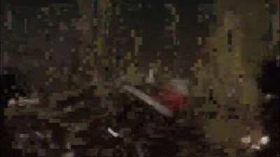 I'm glad that I'm finally able to play Dead by Daylight on my [insert a device here]! (Sorry, I forgot to censor the nicknames)