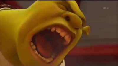 Pode palmeiras no grupis?