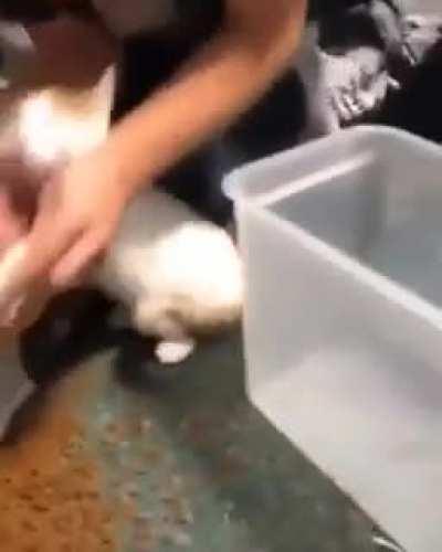 Helping with cleanup